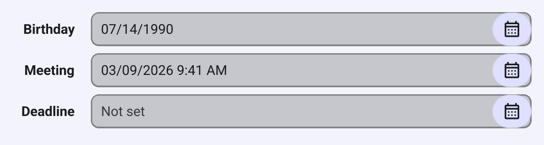A form with Birthday, Meeting and Deadline fields: 07/14/1990, 03/09/2026 9:41 AM and an empty field showing Not set, each with a calendar button at its end